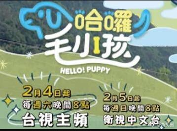 哈啰！毛小孩