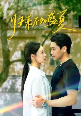 歸來(lái)不知盛夏